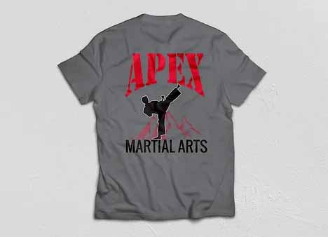 Promo-MP-Apex-Martial-Arts-2